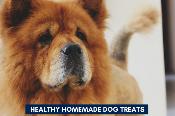 Healthy Home Made Dog Treats